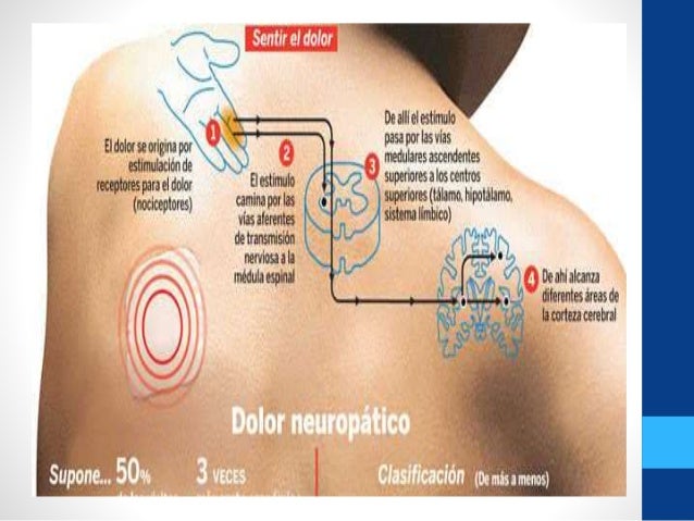 Imagen relacionada