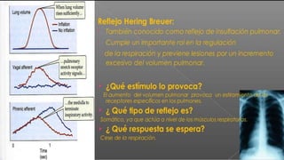 • En 1868 trabajó con el Dr. Ewald Hering en su laboratorio de fisiología, donde logra
determinar la relación mediante los pulmones y el sistema nervioso, es decir que descubrió
la regulación de la temperatura coprporal mediante la respiración.
• –Reflejo de Hering-Breuer.
• En el mismo año conocio a su esposa Mathilde Altman, con quien mas tarde tendría un total
de 5 hijos.
 