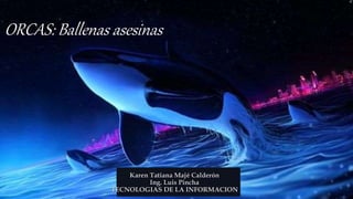 Karen Tatiana Majé Calderón
Ing. Luis Pincha
TECNOLOGIAS DE LA INFORMACION
ORCAS: Ballenas asesinas
 