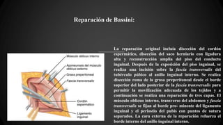 Reparación de Bassini:
La reparación original incluía disección del cordón
espermático, disección del saco herniario con ligadura
alta y reconstrucción amplia del piso del conducto
inguinal. Después de la exposición del piso inguinal, se
realiza una incisión sobre la fascia transversalis del
tubérculo púbico al anillo inguinal interno. Se realiza
disección roma de la grasa preperitoneal desde el borde
superior del lado posterior de la fascia transversalis para
permitir la movilización adecuada de los tejidos y a
continuación se realiza una reparación de tres capas. El
músculo oblicuo interno, transverso del abdomen y fascia
transversalis se fijan al borde pro- minente del ligamento
inguinal y el periostio del pubis con puntos de sutura
separados. La cara externa de la reparación refuerza el
borde interno del anillo inguinal interno.
 