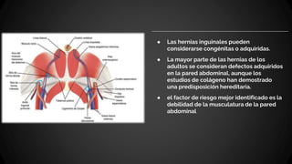 ● Las hernias inguinales pueden
considerarse congénitas o adquiridas.
● La mayor parte de las hernias de los
adultos se consideran defectos adquiridos
en la pared abdominal, aunque los
estudios de colágeno han demostrado
una predisposición hereditaria.
● el factor de riesgo mejor identificado es la
debilidad de la musculatura de la pared
abdominal
 