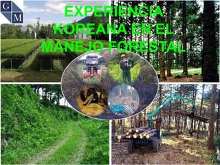 EXPERIENCIA
KOREANA EN EL
MANEJO FORESTAL
 
