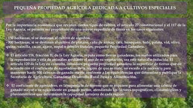 la pequeña propiedad