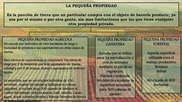 la pequeña propiedad