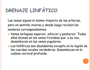 DRENAJE LINFÁTICO

Las venas siguen el mismo trayecto de las arterias,
pero en sentido inverso y desde luego reciben los
nombres correspondientes:
 Venas laríngeas superior, inferior y posterior. Todas
  ellas drenan en las venas tiroideas que a su vez,
  desembocan en las venas yugulares.
 Los linfáticos son abundantes excepto en la región de
  las cuerdas vocales verdaderas. Desembocan en la
  cadena cervical profunda.
 