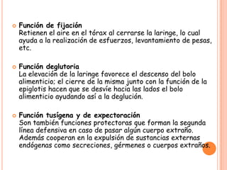    Función de fijación
    Retienen el aire en el tórax al cerrarse la laringe, lo cual
    ayuda a la realización de esfuerzos, levantamiento de pesas,
    etc.

   Función deglutoria
    La elevación de la laringe favorece el descenso del bolo
    alimenticio; el cierre de la misma junto con la función de la
    epiglotis hacen que se desvíe hacia las lados el bolo
    alimenticio ayudando así a la deglución.

   Función tusígena y de expectoración
    Son también funciones protectoras que forman la segunda
    línea defensiva en caso de pasar algún cuerpo extraño.
    Además cooperan en la expulsión de sustancias externas
    endógenas como secreciones, gérmenes o cuerpos extraños.
 