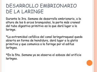 DESARROLLO EMBRIONARIO
DE LA LARINGE
Durante la 3ra. Semana de desarrollo embrionario, a la
altura de los 6 arcos branquiales, la parte más craneal
del tubo digestivo primitivo es la que dará lugar a la
laringe.

*La extremidad cefálica del canal laringotraqueal queda
abierta en forma de hendidura, dará lugar a la glotis
primitiva y que comunica a la faringe por el aditus
laríngeo.

*En la 5ta. Semana ya se observa el esbozo del orificio
laríngeo.
 
