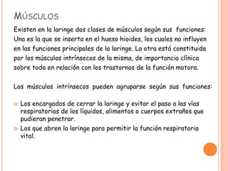 MÚSCULOS
Existen en la laringe dos clases de músculos según sus funciones:
Una es la que se inserta en el hueso hioides, los cuales no influyen
en las funciones principales de la laringe. La otra está constituida
por los músculos intrínsecos de la misma, de importancia clínica
sobre todo en relación con los trastornos de la función motora.

Los músculos intrínsecos pueden agruparse según sus funciones:

   Los encargados de cerrar la laringe y evitar el paso a las vías
    respiratorias de los líquidos, alimentos o cuerpos extraños que
    pudieran penetrar.
   Los que abren la laringe para permitir la función respiratoria
    vital.
 