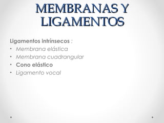 MEMBRANAS YMEMBRANAS Y
LIGAMENTOSLIGAMENTOS
Ligamentos intrínsecos :
• Membrana elástica
• Membrana cuadrangular
• Cono elástico
• Ligamento vocal
 