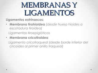 MEMBRANAS YMEMBRANAS Y
LIGAMENTOSLIGAMENTOS
Ligamentos extrínsecos:
• Membrana tirohioidea (desde hueso hioides a
escotadura tiroidea)
Ligamentos tiroepiglóticos
• Membrana cricotiroidea
Ligamento cricotraqueal (desde borde inferior del
cricoides al primer anillo traqueal)
 