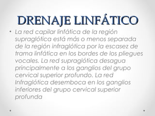 DRENAJE LINFÁTICODRENAJE LINFÁTICO
• La red capilar linfática de la región
supraglótica está más o menos separada
de la región infraglótica por la escasez de
trama linfática en los bordes de los pliegues
vocales. La red supraglótica desagua
principalmente a los ganglios del grupo
cervical superior profundo. La red
Infraglótica desemboca en los ganglios
inferiores del grupo cervical superior
profunda
 