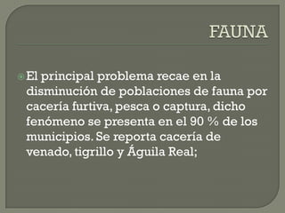  Elprincipal problema recae en la
 disminución de poblaciones de fauna por
 cacería furtiva, pesca o captura, dicho
 fenómeno se presenta en el 90 % de los
 municipios. Se reporta cacería de
 venado, tigrillo y Águila Real;
 