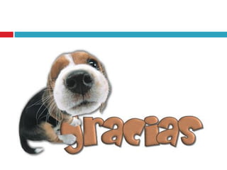 Exposición Ley General de Salud - Perú