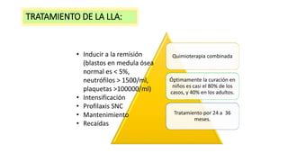 Quimioterapia combinada
Óptimamente la curación en
niños es casi el 80% de los
casos, y 40% en los adultos.
Tratamiento por 24 a 36
meses.
• Inducir a la remisión
(blastos en medula ósea
normal es < 5%,
neutrófilos > 1500/ml,
plaquetas >100000/ml)
• Intensificación
• Profilaxis SNC
• Mantenimiento
• Recaídas
TRATAMIENTO DE LA LLA:
 