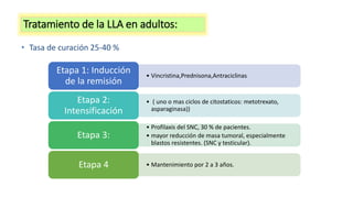 • Tasa de curación 25-40 %
• Vincristina,Prednisona,Antraciclinas
Etapa 1: Inducción
de la remisión
• ( uno o mas ciclos de citostaticos: metotrexato,
asparaginasa))
Etapa 2:
Intensificación
• Profilaxis del SNC, 30 % de pacientes.
• mayor reducción de masa tumoral, especialmente
blastos resistentes. (SNC y testicular).
Etapa 3:
• Mantenimiento por 2 a 3 años.
Etapa 4
Tratamiento de la LLA en adultos:
 