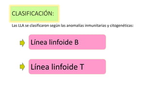 Las LLA se clasificaron según las anomalías inmunitarias y citogenéticas:
CLASIFICACIÓN:
Línea linfoide B
Línea linfoide T
 