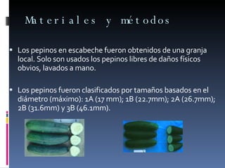 Materiales y métodos Los pepinos en escabeche fueron obtenidos de una granja local. Solo son usados los pepinos libres de daños físicos obvios, lavados a mano. Los pepinos fueron clasificados por tamaños basados en el diámetro (máximo):  1A (17 mm); 1B (22.7mm); 2A (26.7mm); 2B (31.6mm) y 3B (46.1mm). 