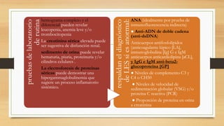 pruebas
de
laboratorio
de
rutina
hemograma completo y el
diferencial pueden revelar
leucopenia, anemia leve y/o
trombocitopenia
La creatinina sérica elevada puede
ser sugestiva de disfunción renal.
sedimento de orina puede revelar
hematuria, piuria, proteinuria y/o
cilindros celulares .
La electroforesis de proteínas
séricas puede demostrar una
hipergammaglobulinemia que
sugiere un proceso inflamatorio
sistémico.
respaldan
el
diagnóstico
de
LES
si
es
anormal:
ANA (idealmente por prueba de
inmunofluorescencia indirecta)
● Anti-ADN de doble cadena
(anti-dsDNA)
Anticuerpos antifosfolípidos
(anticoagulante lúpico [LA],
inmunoglobulina [Ig] G e IgM
anticuerpos anticardiolipina [aCL],
y IgG e IgM anti-beta2-
glucoproteína [GP]
● Niveles de complemento C3 y
C4 o CH50
● Niveles de velocidad de
sedimentación globular (VSG) y/o
proteína C reactiva (PCR)
● Proporción de proteína en orina
a creatinina
 