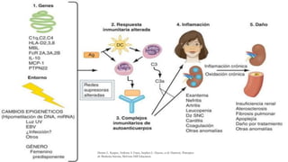Dennis L. Kasper, Anthony S. Fauci, Stephen L. Hauser, et al: Harrison. Principios
de Medicina Interna, McGraw-Hill Education.
 