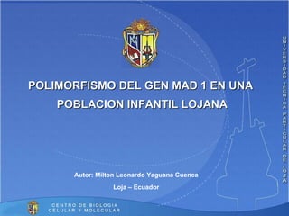POLIMORFISMO DEL GEN MAD 1 EN UNA  POBLACION INFANTIL LOJANA Autor: Milton Leonardo Yaguana Cuenca Loja – Ecuador 