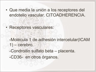 • Que media la unión a los receptores del
  endotelio vascular. CITOADHERENCIA.

• Receptores vasculares:

 -Molécula 1 de adhesión intercelular(ICAM
 1) – cerebro.
 -Condroitin sulfato beta – placenta.
 -CD36- en otros órganos.
 