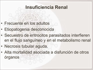 Insuficiencia Renal


• Frecuente en los adultos
• Etiopatogenia desconocida
• Secuestro de eritrocitos parasitados interfieren
  en el flujo sanguíneo y en el metabolismo renal
• Necrosis tubular aguda.
• Alta mortalidad asociada a disfunción de otros
  órganos
 