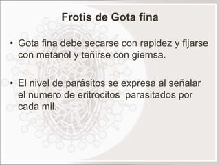 Frotis de Gota fina

• Gota fina debe secarse con rapidez y fijarse
  con metanol y teñirse con giemsa.

• El nivel de parásitos se expresa al señalar
  el numero de eritrocitos parasitados por
  cada mil.
 