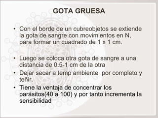 GOTA GRUESA

• Con el borde de un cubreobjetos se extiende
  la gota de sangre con movimientos en N,
  para formar un cuadrado de 1 x 1 cm.

• Luego se coloca otra gota de sangre a una
  distancia de 0.5-1 cm de la otra
• Dejar secar a temp ambiente por completo y
  teñir.
• Tiene la ventaja de concentrar los
  parásitos(40 a 100) y por tanto incrementa la
  sensibilidad
 