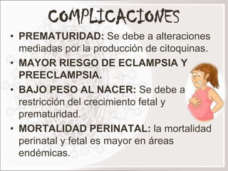 COMPLICACIONES
• PREMATURIDAD: Se debe a alteraciones
  mediadas por la producción de citoquinas.
• MAYOR RIESGO DE ECLAMPSIA Y
  PREECLAMPSIA.
• BAJO PESO AL NACER: Se debe a
  restricción del crecimiento fetal y
  prematuridad.
• MORTALIDAD PERINATAL: la mortalidad
  perinatal y fetal es mayor en áreas
  endémicas.
 