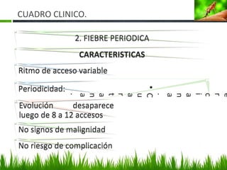 CUADRO CLINICO.
2. FIEBRE PERIODICA2. FIEBRE PERIODICA
CARACTERISTICASCARACTERISTICAS
Ritmo de acceso variableRitmo de acceso variable
e
r
c
i
a
n
a
.
•C
u
a
r
t
a
n
a
.
Periodicidad:Periodicidad:
Evolución desaparece
luego de 8 a 12 accesos
Evolución desaparece
luego de 8 a 12 accesos
No signos de malignidadNo signos de malignidad
No riesgo de complicaciónNo riesgo de complicación
24
 