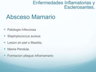 Absceso Mamario
 Patologia Infecciosa
 Staphylococcus aureus
 Lesion en piel o Mastitis.
 Mama Pendula.
 Formacion pliegue inframamario
Enfermedades Inflamatorias y
Esclerosantes.
 