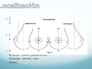  Debe indicarse la mama
(derecha/izquierda)
 Localización (por
cuadrantes u horaria)
 Profundidad (tercio
anterior, medio, posterior/su
bareolar, central, cola
axilar).
 