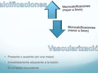  Presente o ausente (en una masa)
 Inmediatamente adyacente a la lesión
 En el tejido circundante
 