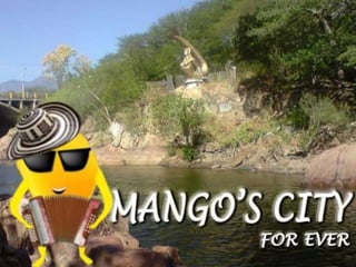 Mango's City 2014