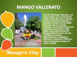 Mango's City 2014