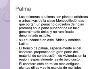 PalmaLas palmeras o palmas son plantas arbóreas o arbustivas de la clase Monocotiledóneas que portan un penacho o rosetón de hojas (corona) en la parte superior de un tallo generalmente único y no ramificado denominado estípite.su abundancia en Asia, África y América LatinaEl tronco de palma, especialmente el del cocotero, proporcionara gran parte del material de construcción, de viviendas en la región, especialmente las de bajo costo. El cocotero está entre las más antiguas plantas útiles y se le explota de múltiples maneras.
