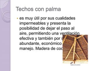 Techos con palmaes muy útil por sus cualidades impermeables y presenta la posibilidad de dejar el paso al aire, permitiendo una ventilación efectiva y también por ser abundante, económico y de fácil manejo. Madera de cocoteroMadera de cocotero