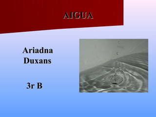 AIGUA


Ariadna
Duxans

3r B
 