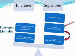 Inferiores   Superiores




Funciones
Mentales
 