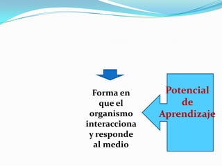 Forma en      Potencial
    que el         de
 organismo     Aprendizaje
interacciona
 y responde
  al medio
 