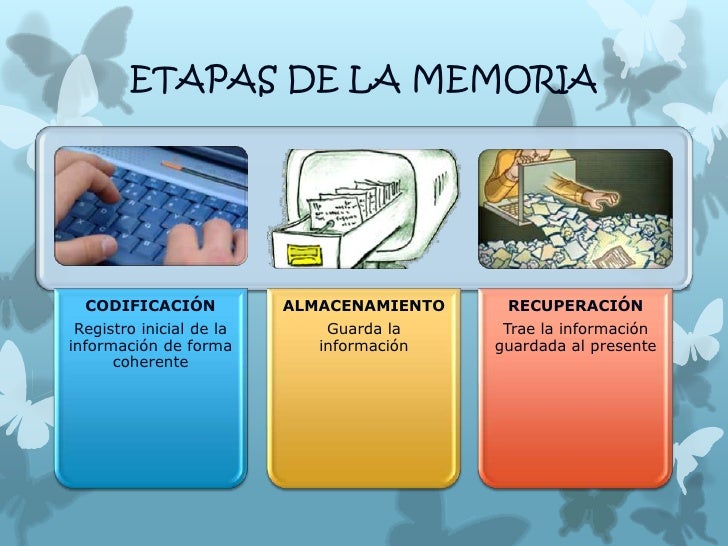 Expo memori acorregida Expo memori acorregida