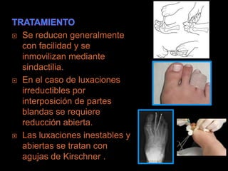    Se reducen generalmente
    con facilidad y se
    inmovilizan mediante
    sindactilia.
   En el caso de luxaciones
    irreductibles por
    interposición de partes
    blandas se requiere
    reducción abierta.
   Las luxaciones inestables y
    abiertas se tratan con
    agujas de Kirschner .
 
