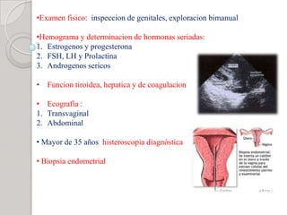 •Examen fisico: inspeccion de genitales, exploracion bimanual
•Hemograma y determinacion de hormonas seriadas:
1. Estrogenos y progesterona
2. FSH, LH y Prolactina
3. Androgenos sericos
• Funcion tiroidea, hepatica y de coagulacion
• Ecografía :
1. Transvaginal
2. Abdominal
• Mayor de 35 años histeroscopia diagnóstica
• Biopsia endometrial
 