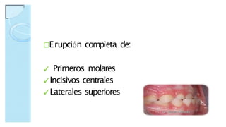 □Erupción completa de:
✓ Primeros molares
✓Incisivos centrales
✓Laterales superiores
 