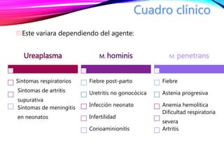 Este variara dependiendo del agente:
Ureaplasma
Síntomas respiratorios
Síntomas de artritis
supurativa
Síntomas de meningitis
en neonatos
M. hominis
Fiebre post-parto
Uretritis no gonocócica
Infección neonato
Infertilidad
Corioaminionitis
M. penetrans
Fiebre
Astenia progresiva
Anemia hemolítica
Dificultad respiratoria
severa
Artritis
 