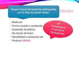 Mollicute
Forma cocoide o cocobacilar.
Anaerobio facultativo.
No tinción de Gram.
Sensibilidad a variaciones de:
Produce UREASA.
Grupo inusual de bacterias distinguidas
por la falta de pared celular.
 