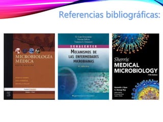 Murray
Scheater
Sherris
 