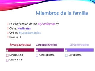 La clasificación de los Mycoplasmas es:
Clase: Mollicutes
Orden: Mycoplasmatales
Familia 3:
Mycoplasmatacea
Mycoplasma
Ureaplasma
Acholeplasmateceae
Achenoplasma
Spiroplasmataceae
Spiroplasma
 