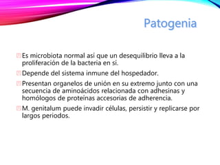 Es microbiota normal así que un desequilibrio lleva a la
proliferación de la bacteria en sí.
Depende del sistema inmune del hospedador.
Presentan organelos de unión en su extremo junto con una
secuencia de aminoácidos relacionada con adhesinas y
homólogos de proteínas accesorias de adherencia.
M. genitalum puede invadir células, persistir y replicarse por
largos periodos.
 