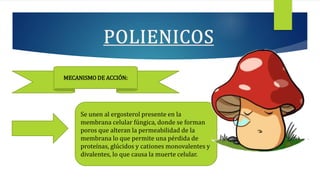 MECANISMO DE ACCIÓN:
Se unen al ergosterol presente en la
membrana celular fúngica, donde se forman
poros que alteran la permeabilidad de la
membrana lo que permite una pérdida de
proteínas, glúcidos y cationes monovalentes y
divalentes, lo que causa la muerte celular.
 
